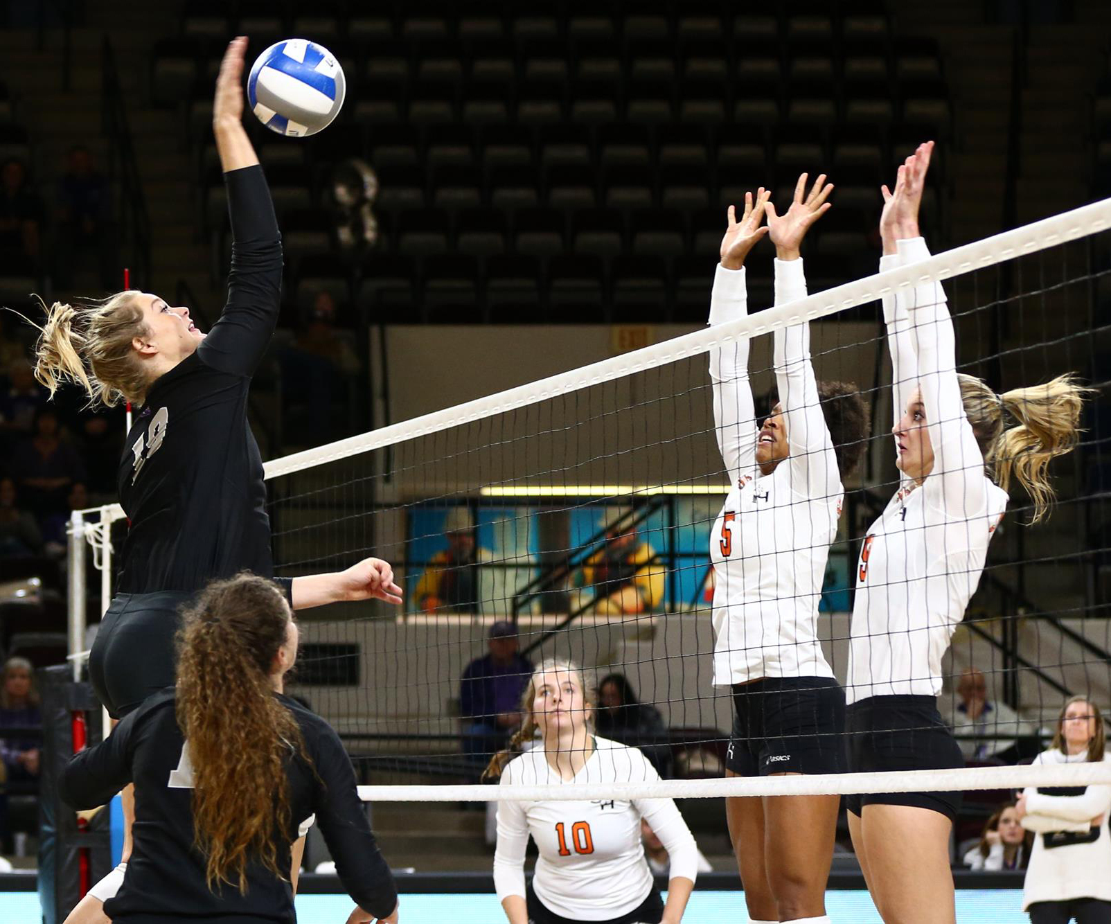 girls playing volleyball